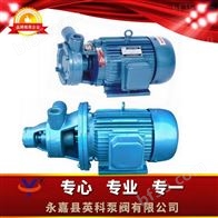 1W型单级旋涡泵