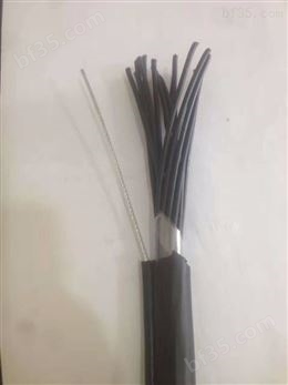 MHYA32（5-100对）通讯电缆