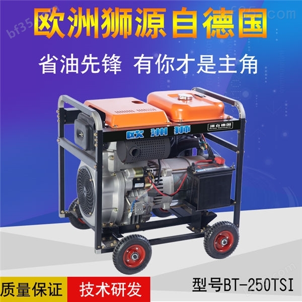 进口190A柴油发电电焊机