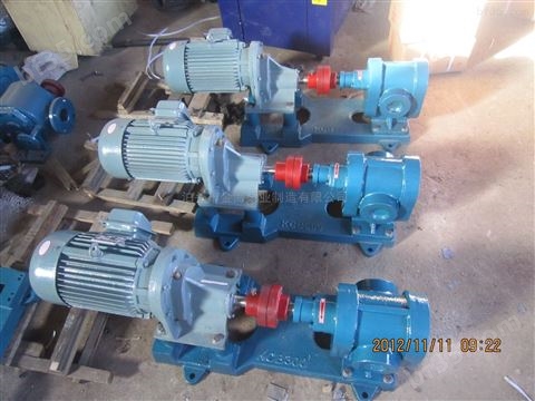 2CY12方煤焦油泵/渣油泵 耐磨齿轮泵