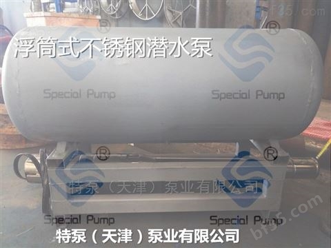 浮筒式潜水泵厂家型号价格