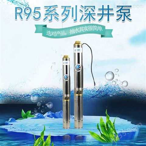 R95-MA-04瑞荣牌冷水用深井潜水泵