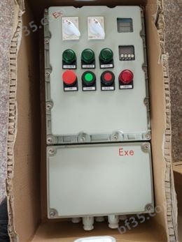 BXX-6/KXD防爆动力检修箱