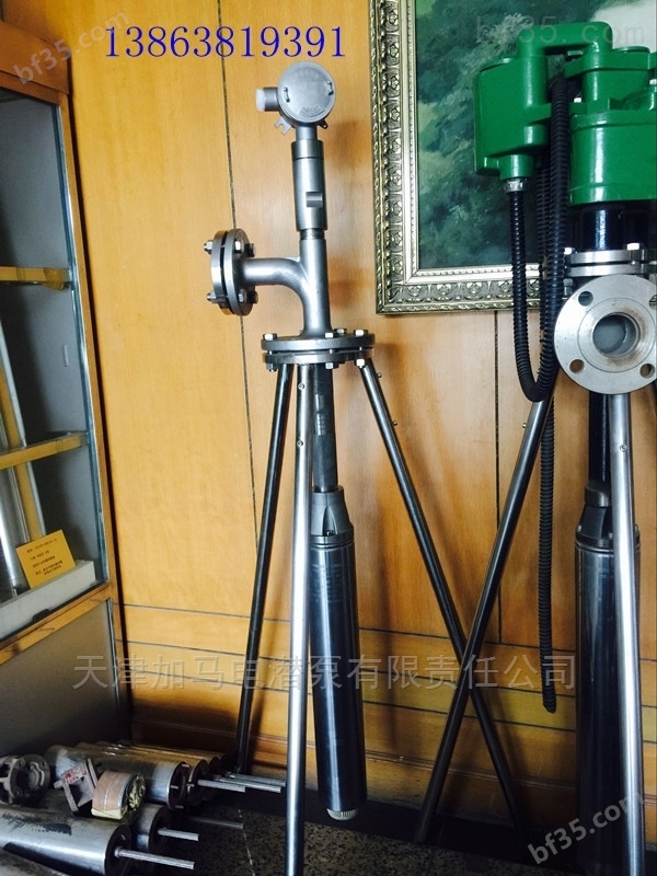 化工泵+绿牌化工泵潜液泵+不锈钢泵防爆泵