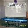 天津大流量潜水电泵