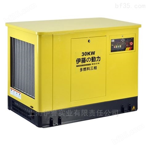 上海30kw汽油发电机公司送货