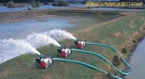 农田灌溉水泵 井水泵（图）
